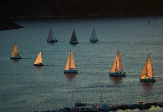 sailboats on body of water