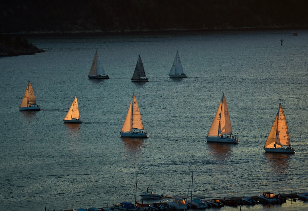 sailboats on body of water, Færderseilasen 2018
