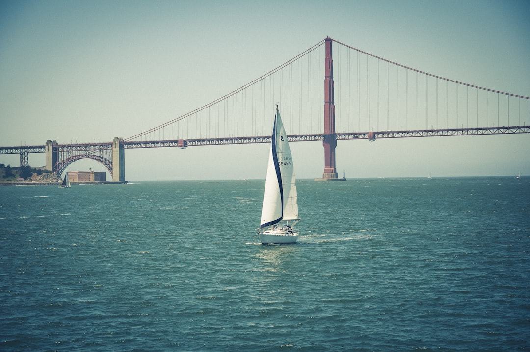 sailboat near bridge during day