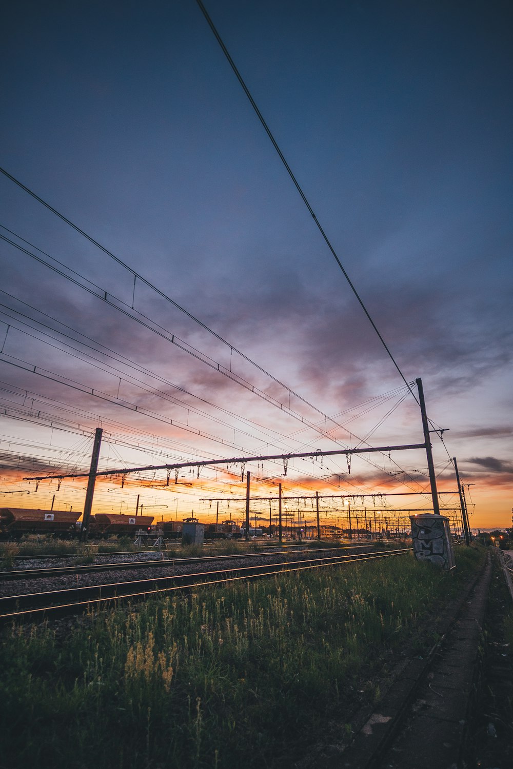 train rail beside green grass