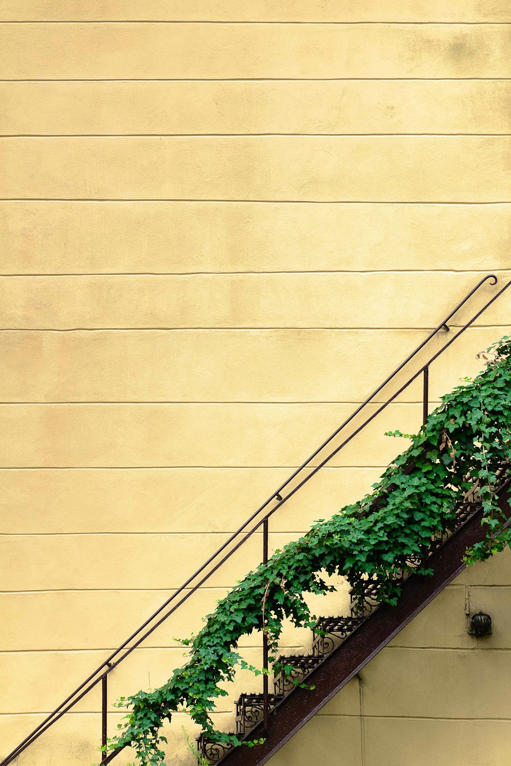 green grass on black steel stair