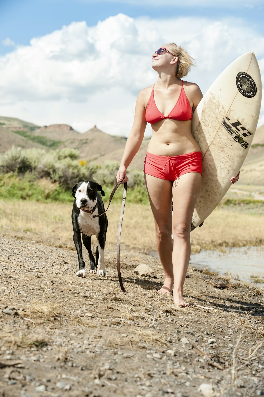犬を連れて海岸を歩く女性