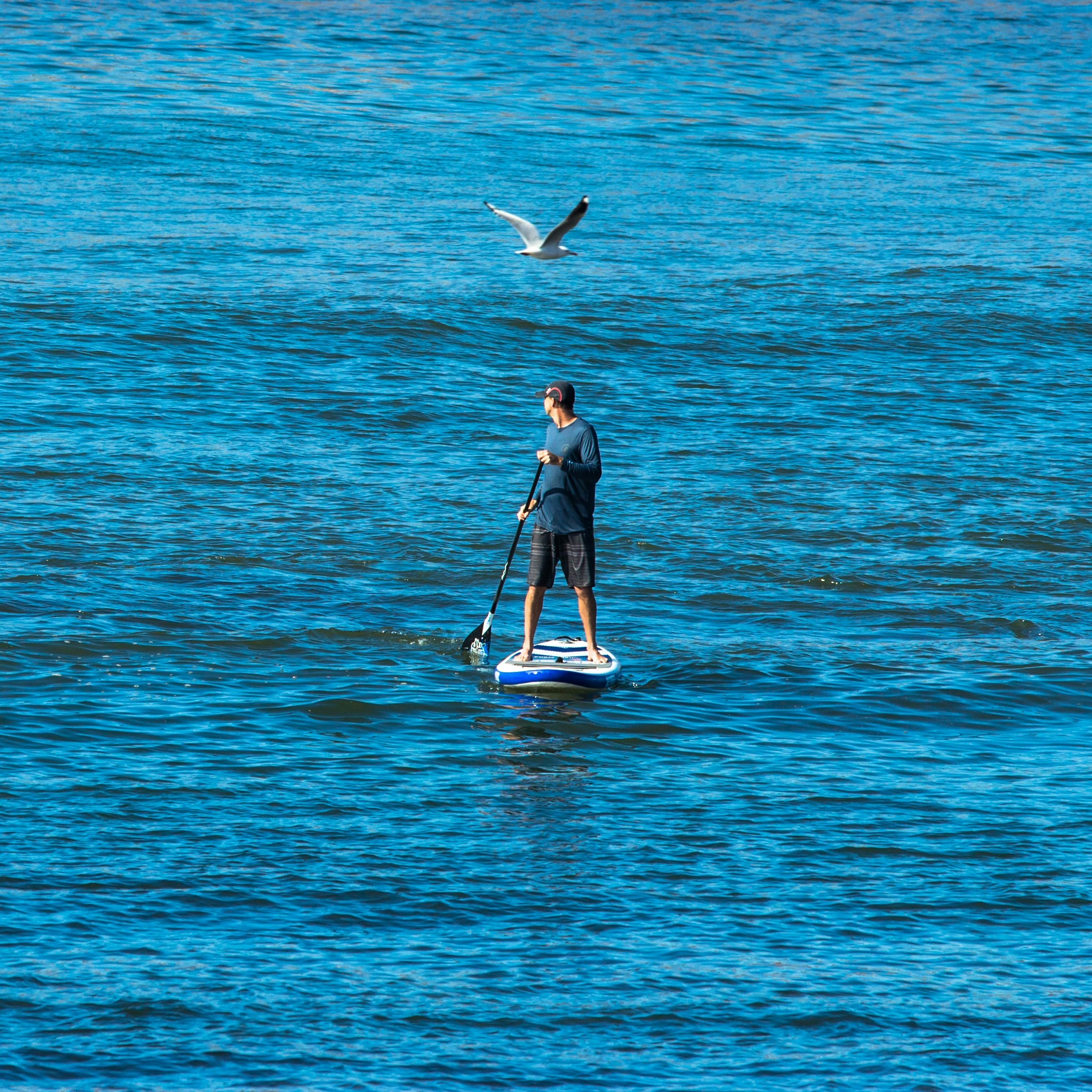 person standing on blue and white paddle board floating on sea at daytime