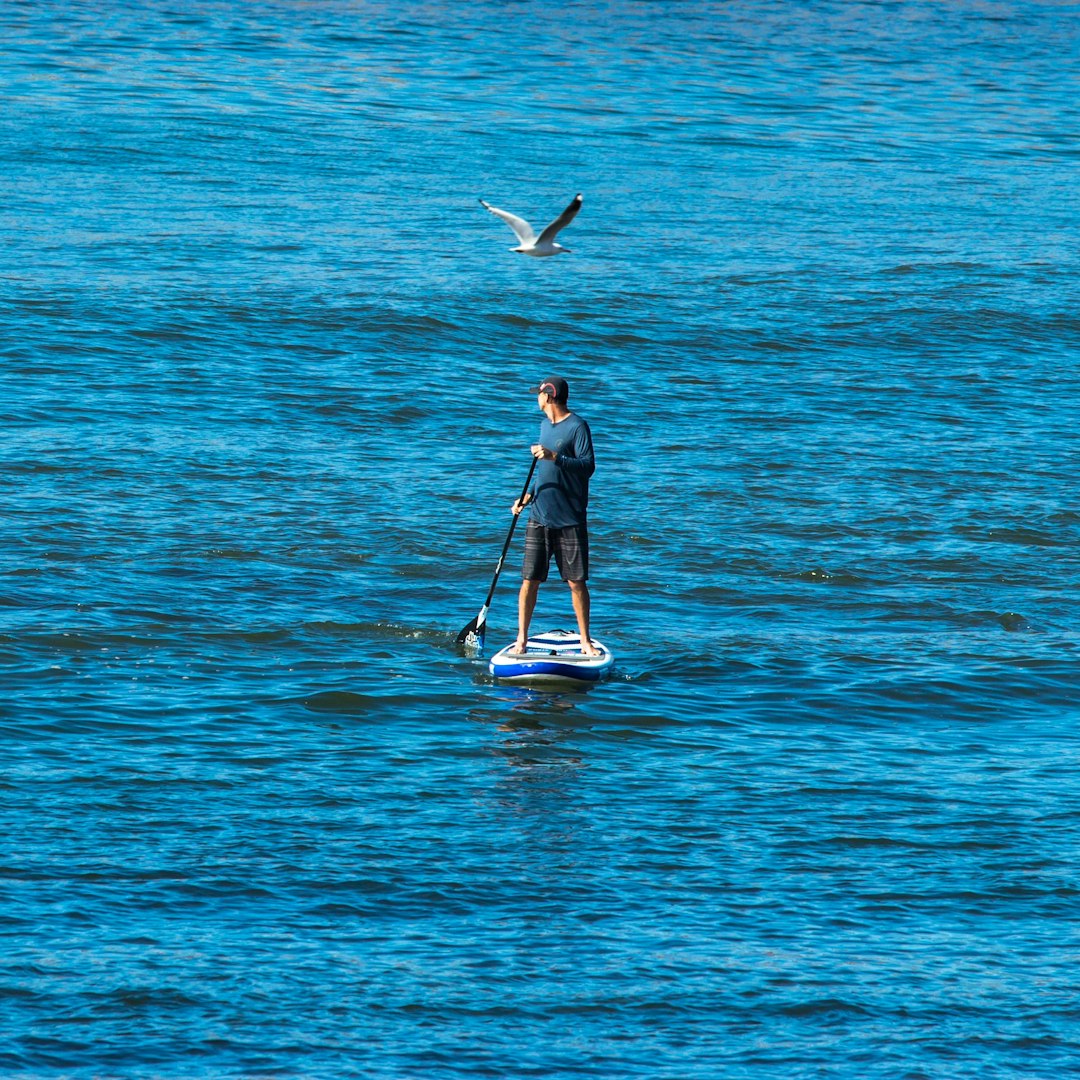 Stand up paddle surfing photo spot Long Reef Point Australia