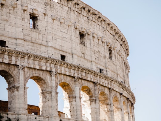 low angle photography of The Colosseum in Colosseum Italy