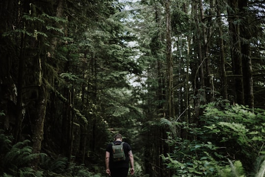 man in the middle of trees in Buntzen Lake Canada