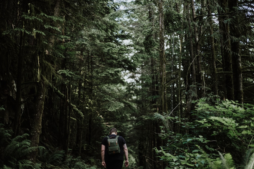 man in the middle of trees