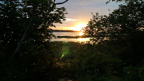 A dramatic still from Nadikattu showing the main character by the riverside at sunset.