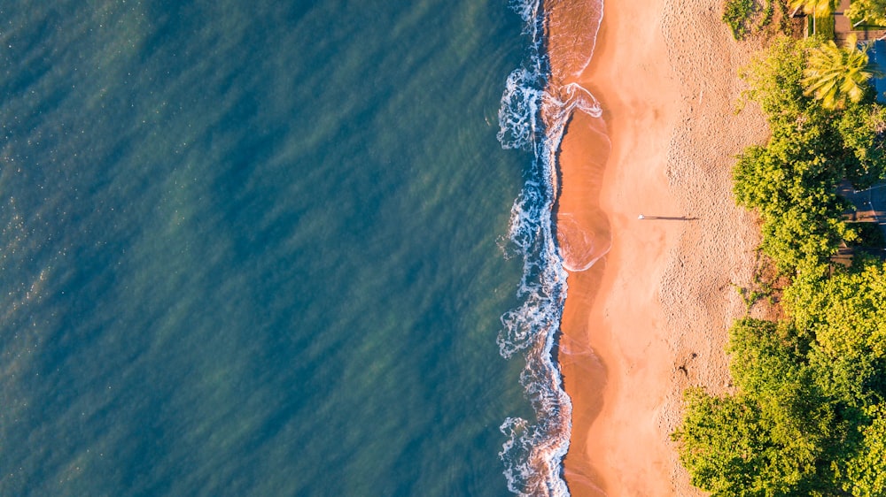 clear body of water beside brown sands