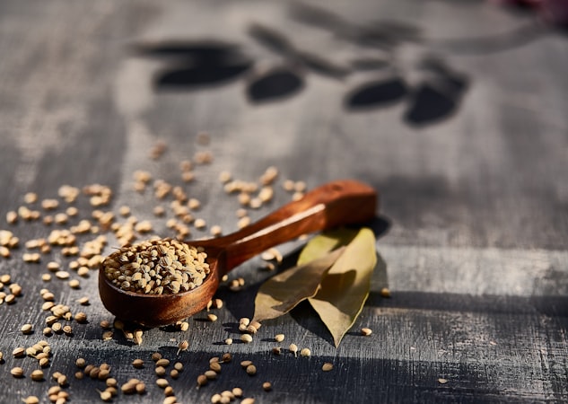 Coriander