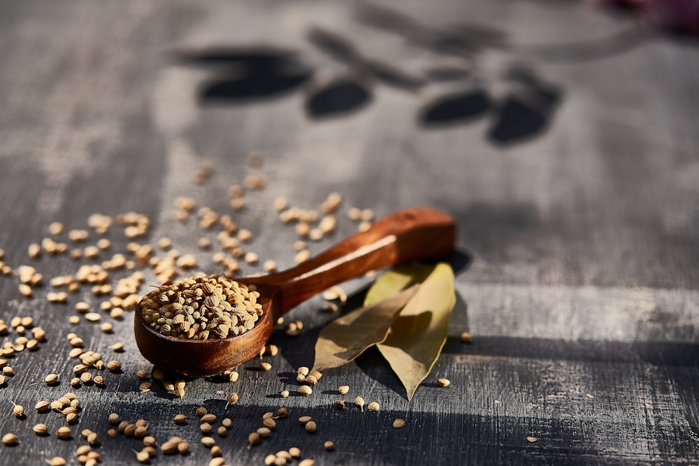 brown wooden spoon filled with seeds