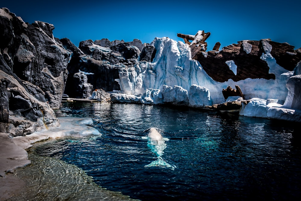 black rock with melting ice