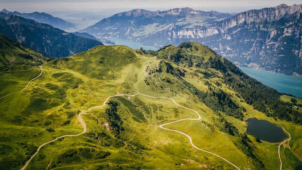 mountain with green grass and tree aerial photography