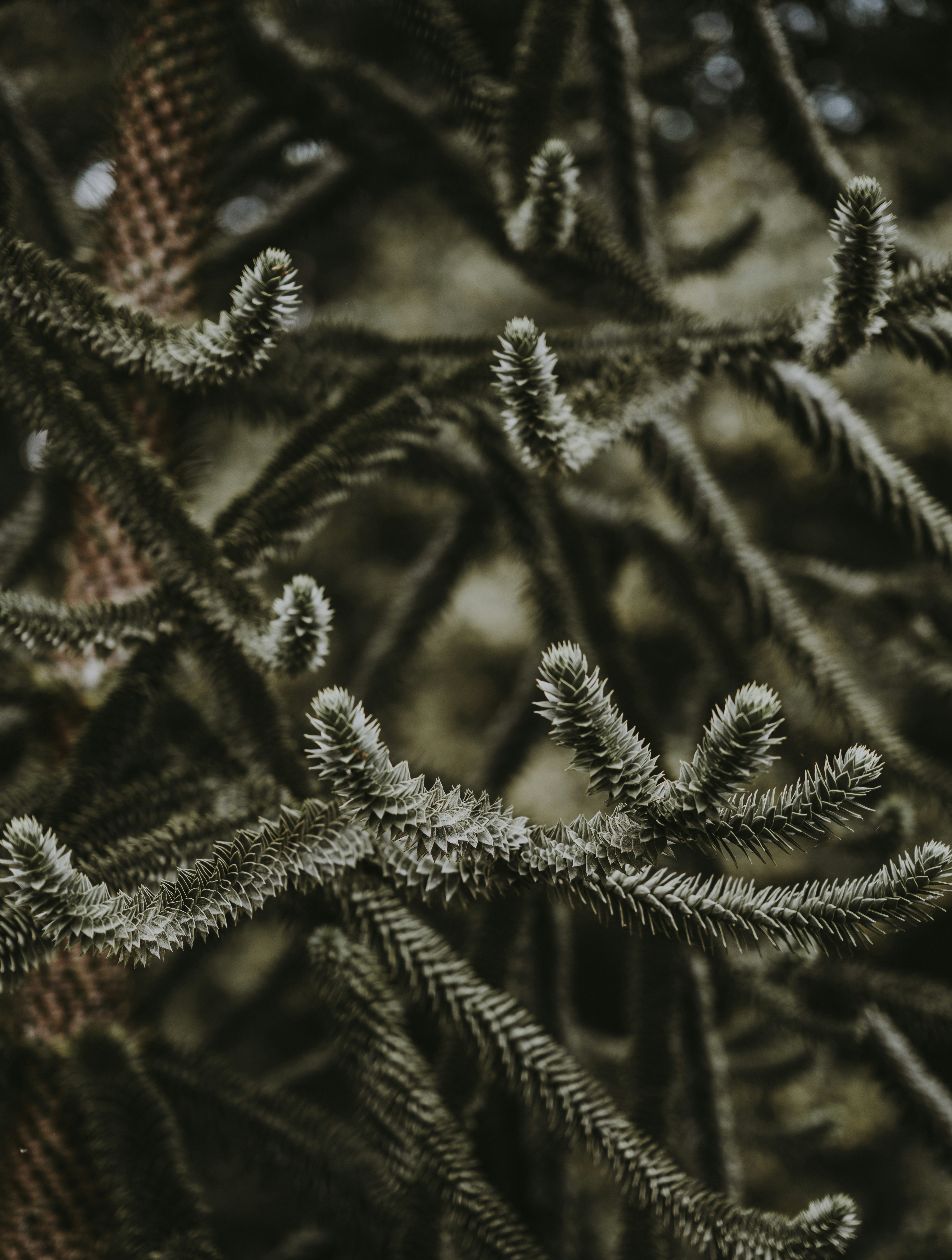 Photo by anniespratt