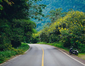 A scenic Phuket road winding through lush greenery with a rental motorbike parked on the side