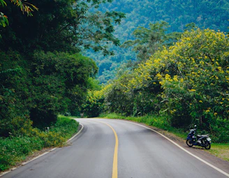 A scenic Phuket road winding through lush greenery with a rental motorbike parked on the side