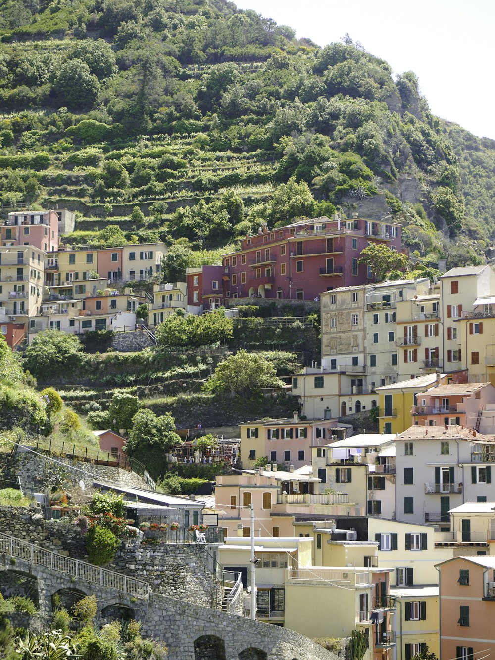 houses near mountain