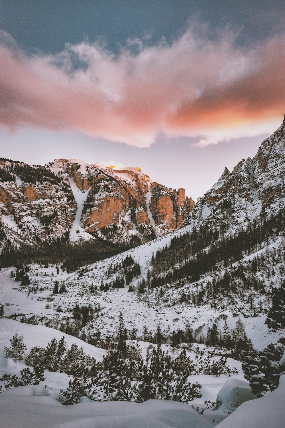 trees under mountains