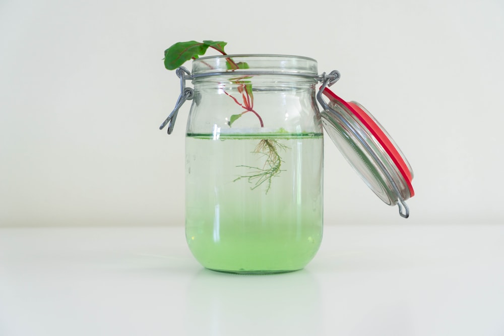 clear glass filled with clear liquid water