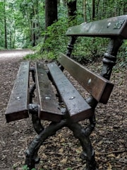 A wooden bench beside a quiet forest path.