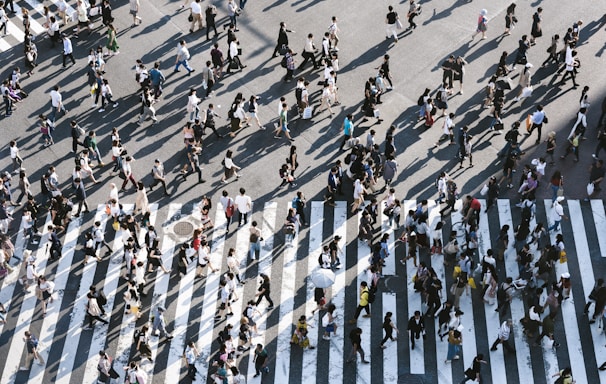 aerial view of people walking on raod