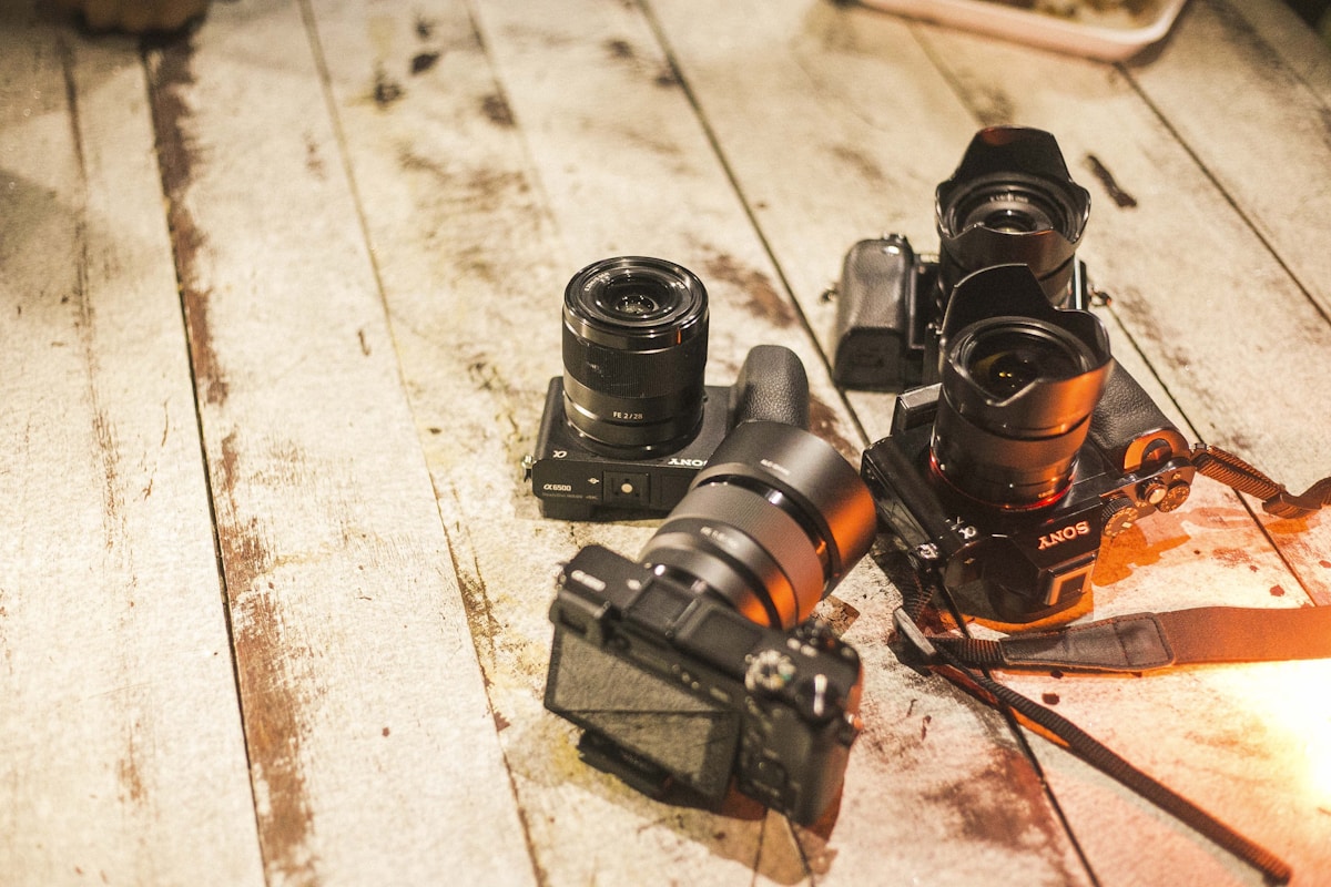 Sony α7C II vs α7 IV 比較