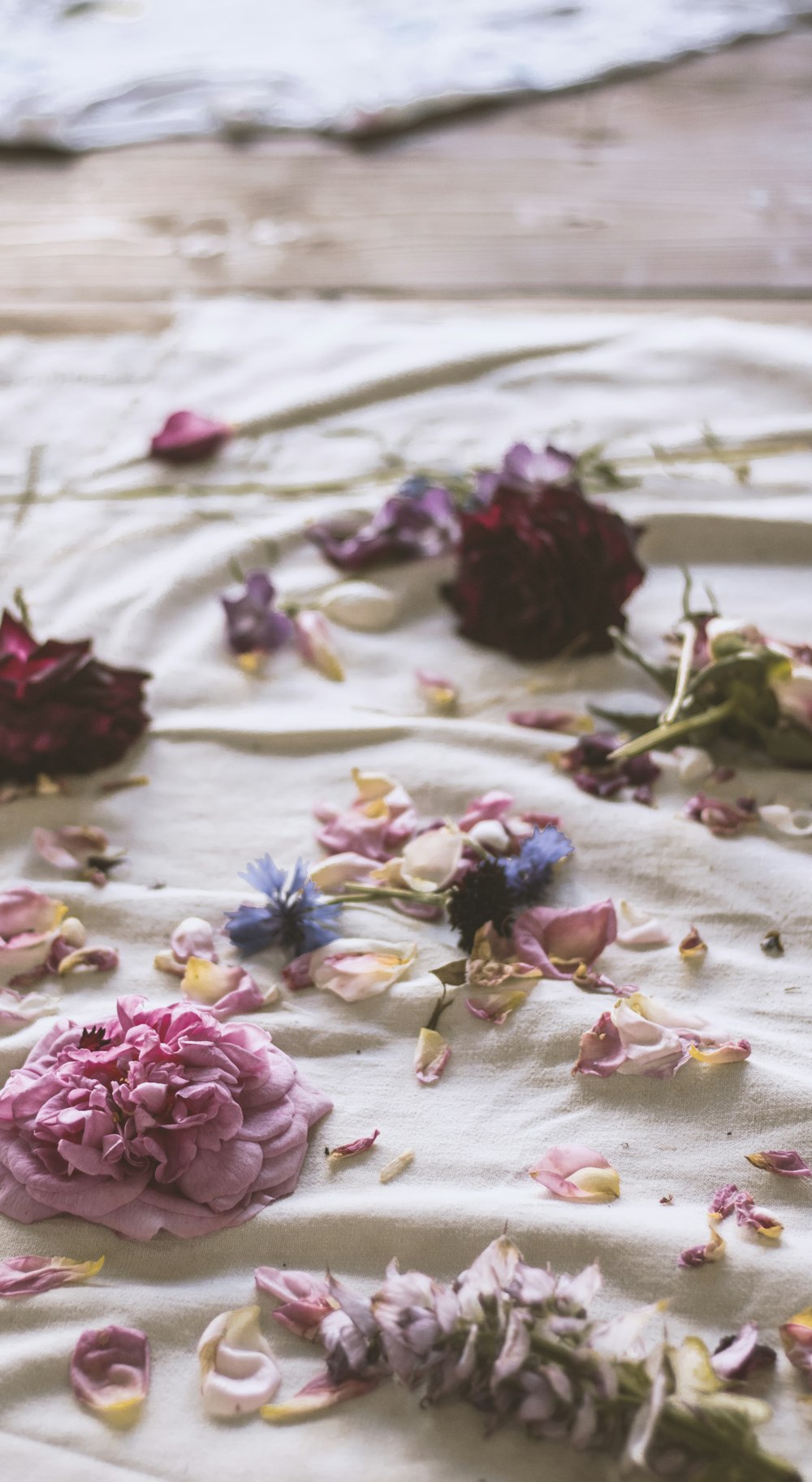 pink petaled flower on white fabric