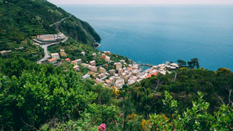 A serene coastal village in a blue zone with vibrant local art and lush greenery.