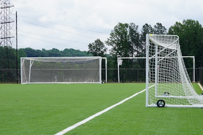 A well-maintained soccer field with lush green artificial turf is depicted. Two white soccer goals, one at a distance and another closer to the right, show the setup of the field. The goal nets are pristine and taut, indicating a space ready for a match or practice. Surrounding the field are tall trees providing a natural backdrop, and power lines are visible in the distance under a cloudy sky.