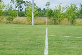 A well-maintained grassy field with white lines marking a sports area. In the background, there is a row of young trees and tall grasses, and a solitary light pole is positioned near the center.