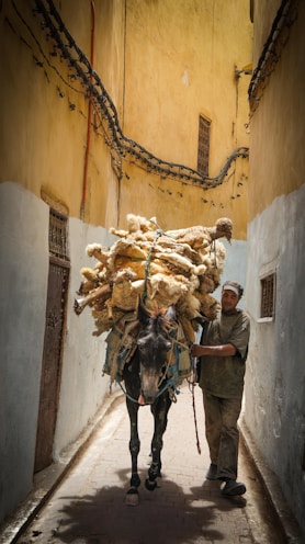 horse carrying dolls on pathway with a man
