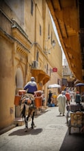 man riding horse on road