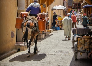 man riding horse on road