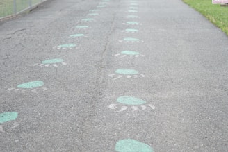 A paved path features a series of green paw prints painted on its surface, leading into the distance. On the left side of the path, a chain-link fence is visible, while grass lines the right side.