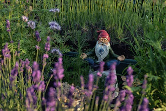 dwarf statue in garden