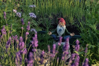 dwarf statue in garden