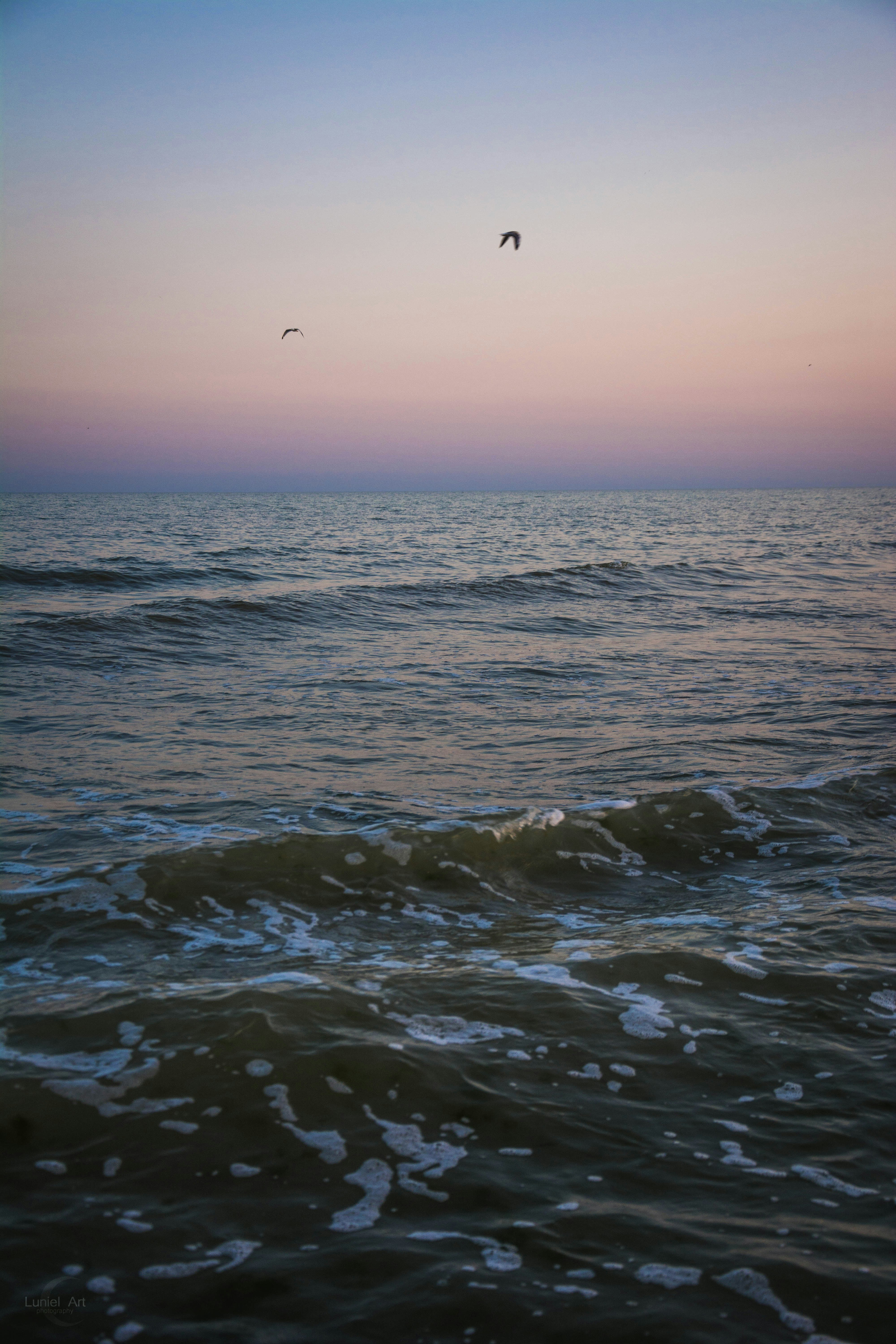 Photo by luniel