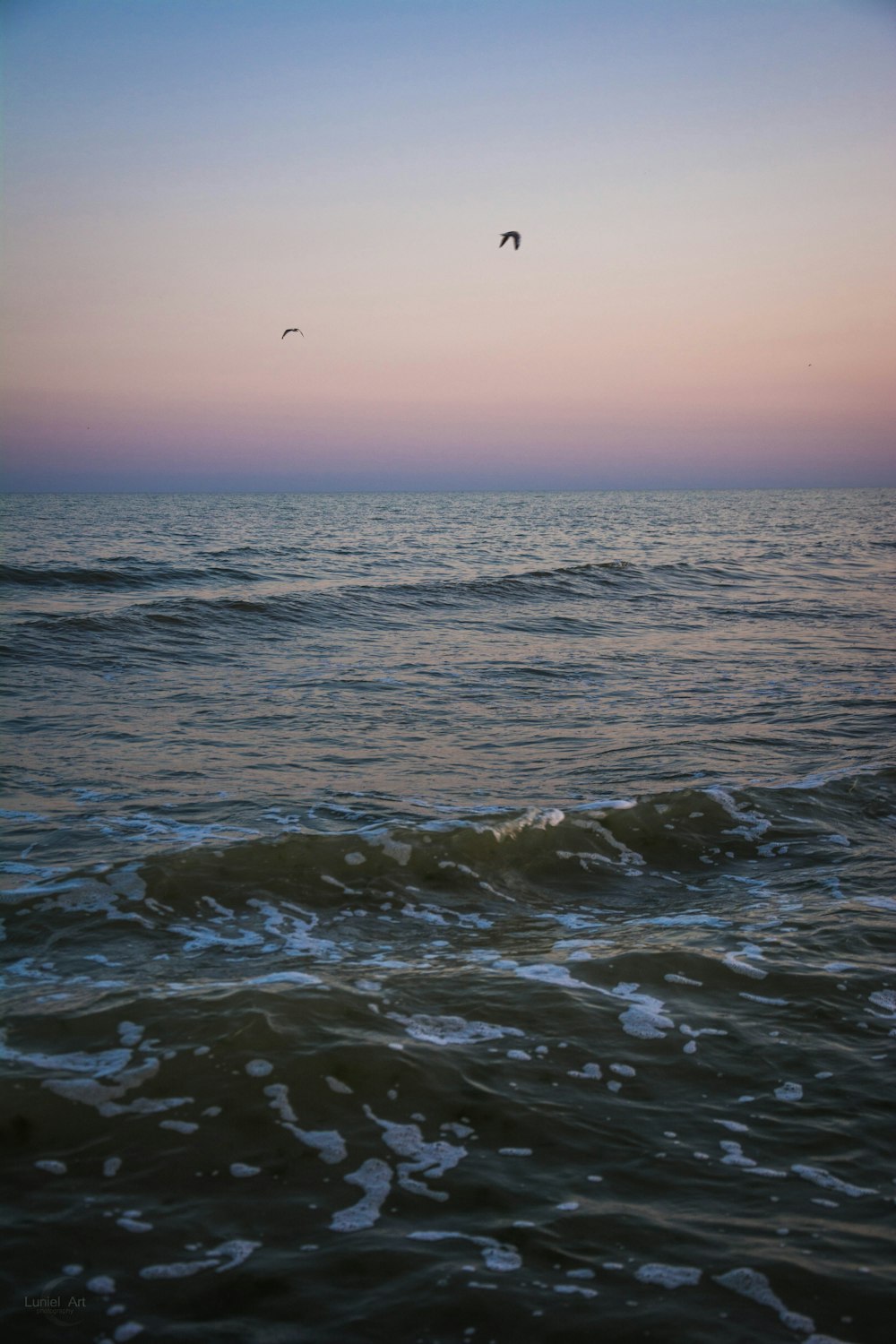 body of water under birds flying