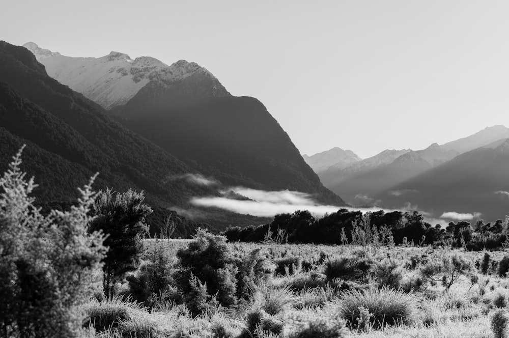 foto em tons de cinza das montanhas