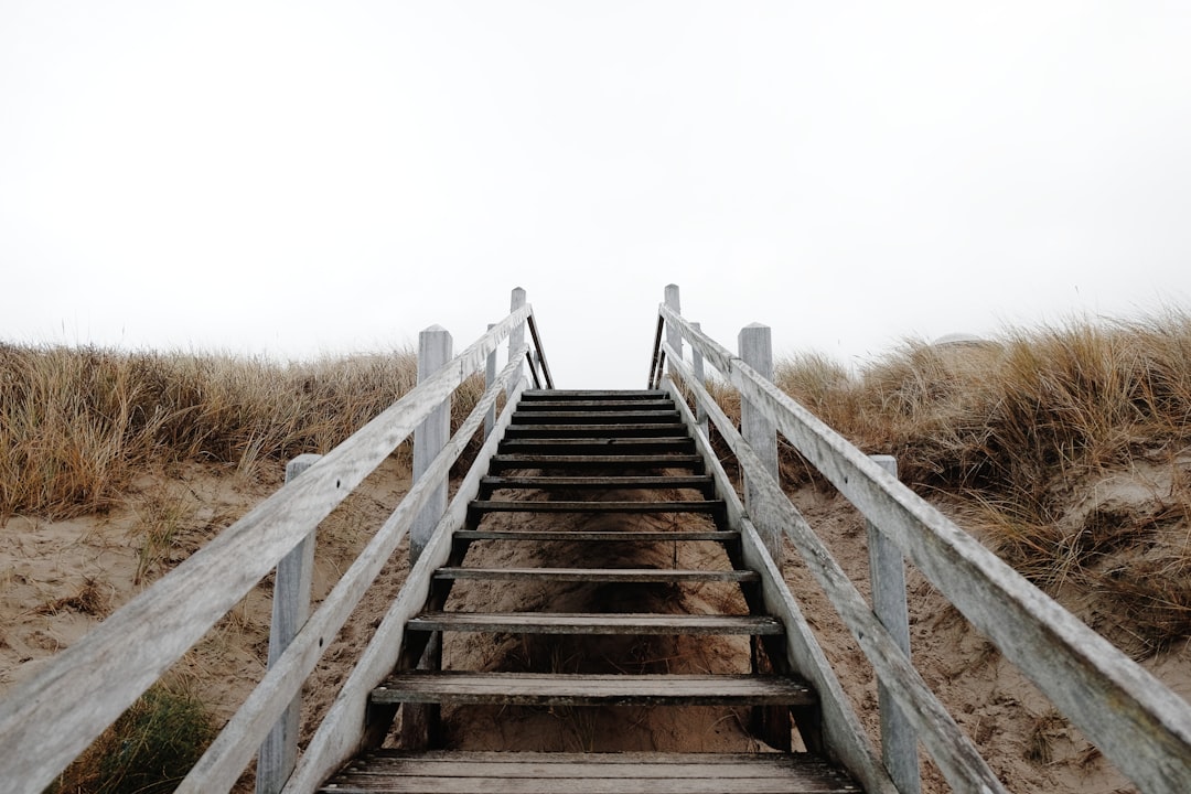 Nature reserve photo spot Domburg Netherlands