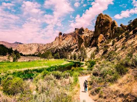 person walking on pathway between trees during daytime in Smith Rock State Park United States