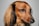 A close-up profile of a dachshund with long, brown fur and attentive eyes. The dog has black fur around the ears, and its nose is pointed. The image captures a sharp and detailed look at the dog's face.