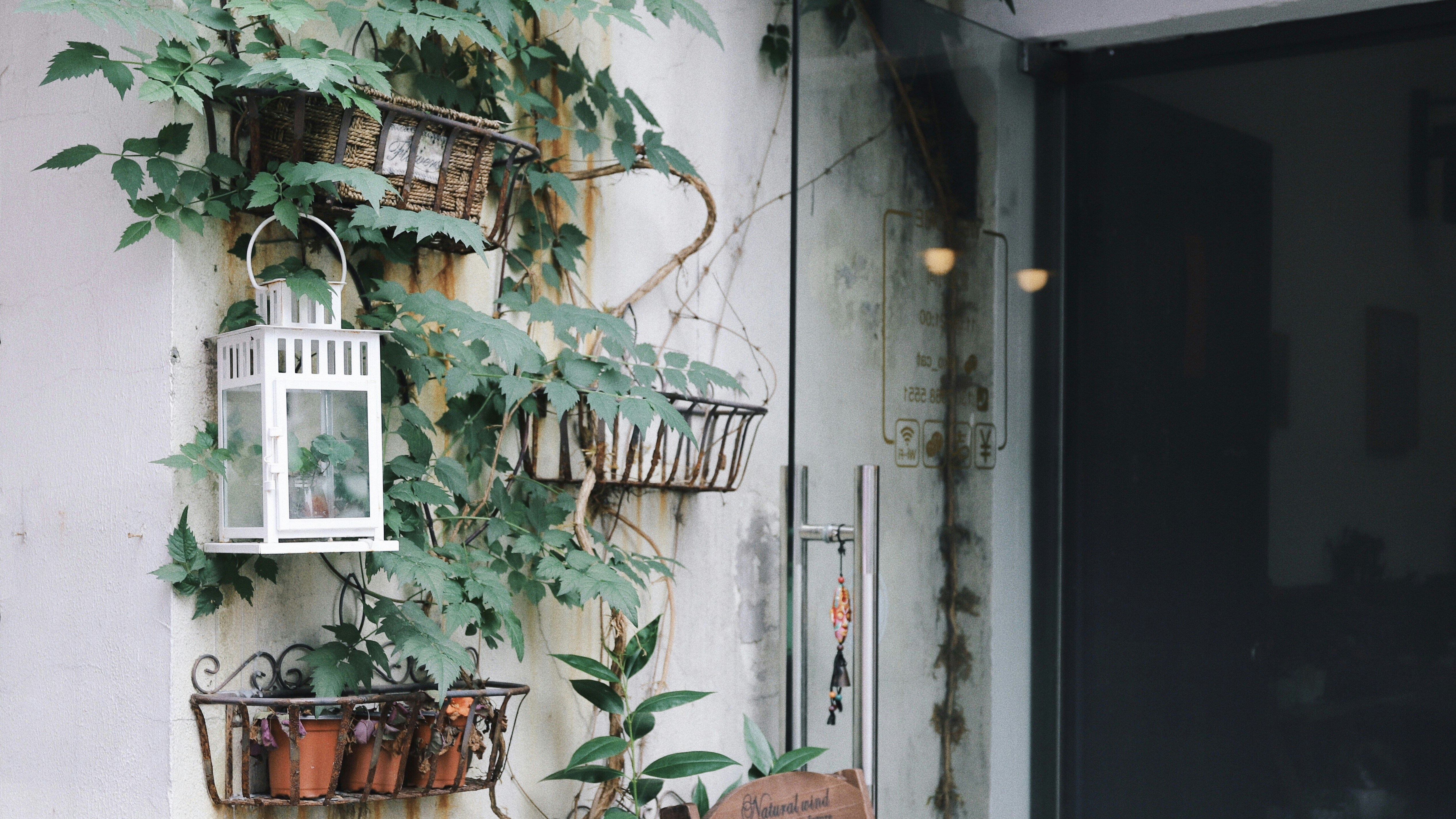 Glass Door Pictures Download Free Images On Unsplash