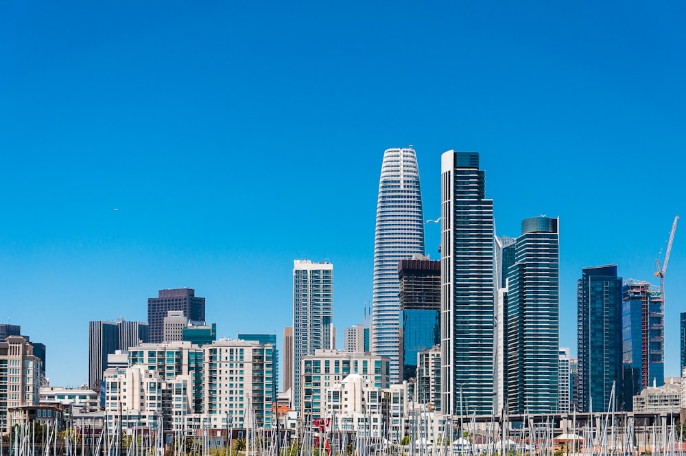 city under blue sky at daytime