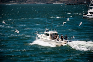 Semi-rigid boat cutting through choppy coastal waters on a bright day.