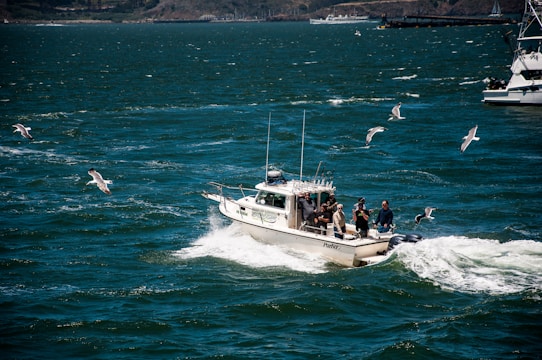 Semi-rigid boat cutting through choppy coastal waters on a bright day.