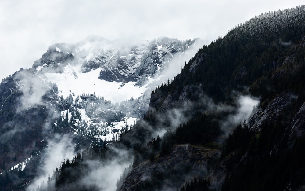 landscape photo of mountain with fogs