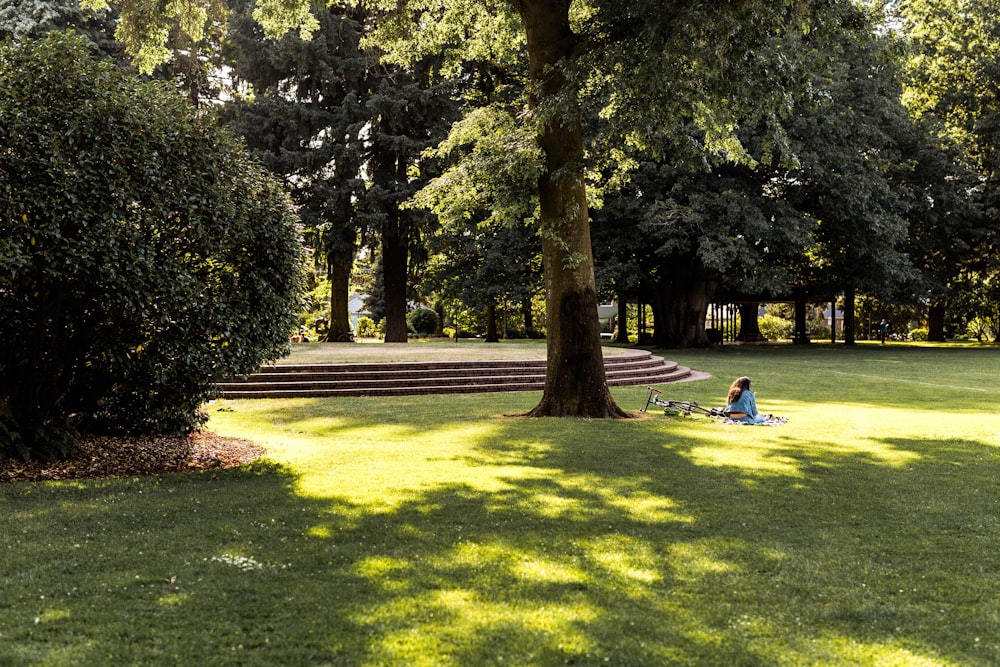 a person sitting on a bench under a tree