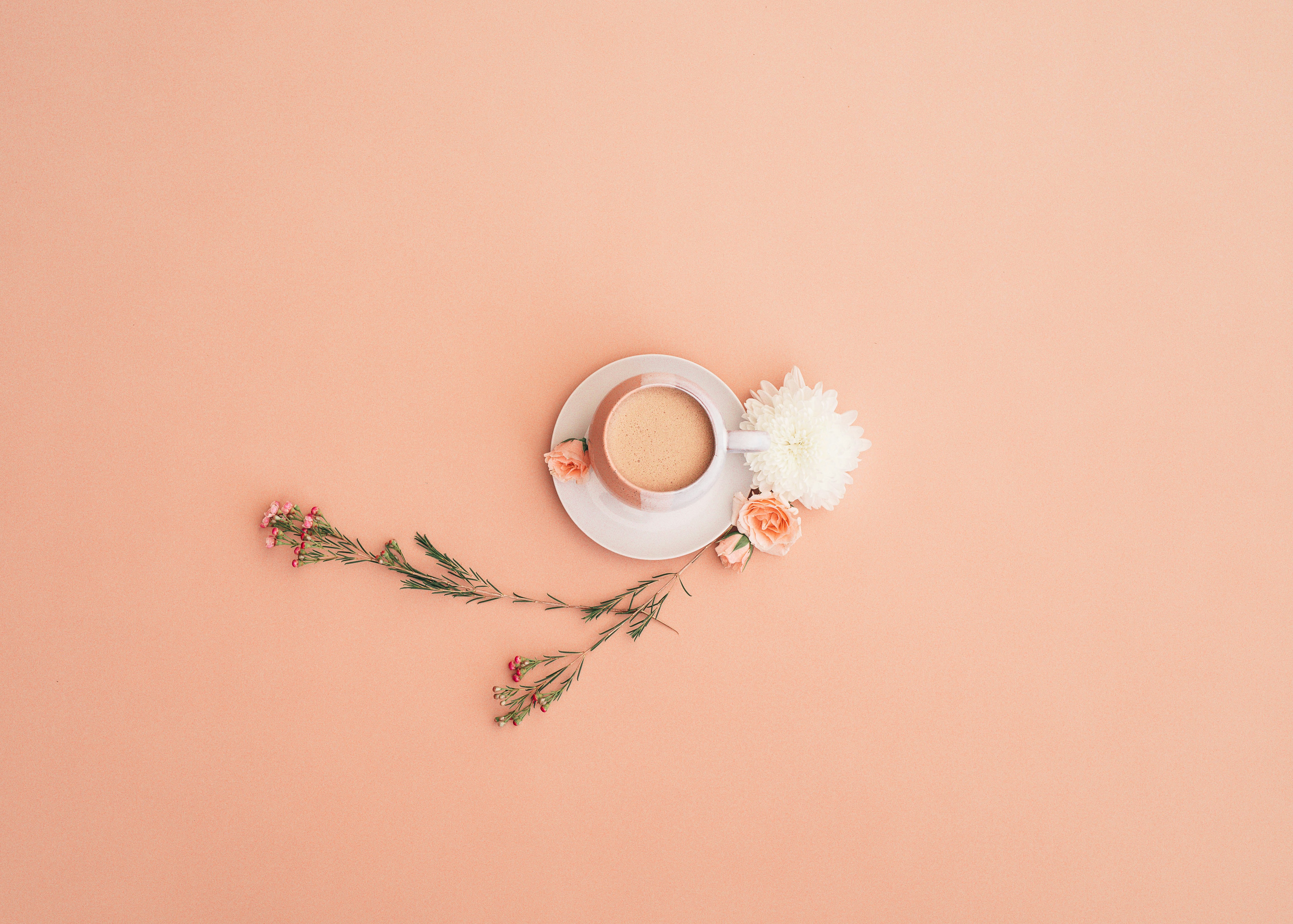 Choose from a curated selection of flower photos. Always free on Unsplash.