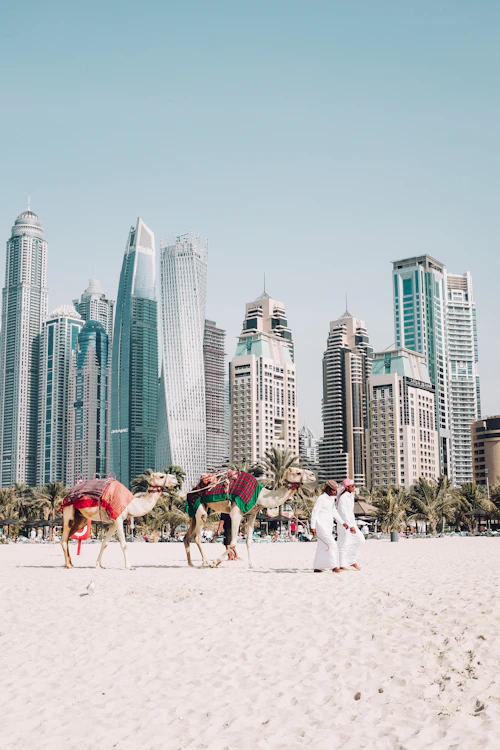 Travel photography by @travelerjyoti